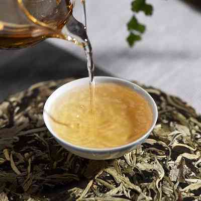 福鼎白茶与普洱茶：哪个茶叶档次更高？