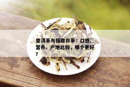 福鼎白茶与普洱茶：一场茶叶品质的较量