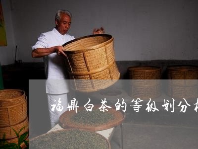 福鼎白茶和普洱茶谁档次高