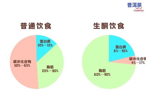 喝茶对高热量饮食的影响：科学依据与实践指南