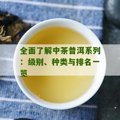 中茶普洱茶哪个等级高好喝