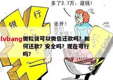 微立贷：仅还利息可行吗？还款方式和条件全面解析