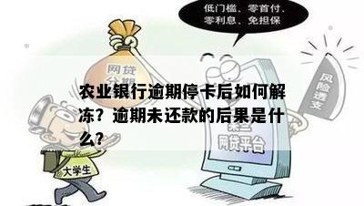 农行卡信用卡逾期3个月冻结后如何恢复使用并重新申请开通的完整指南