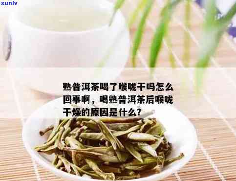 喉咙痛喝白茶普洱茶可以吗？女性适合喝哪些茶缓解喉咙不适？