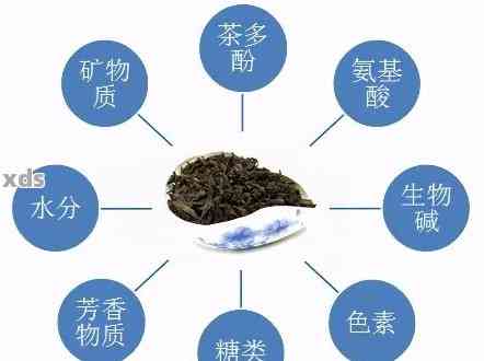 【新标题】：普洱茶膏的苦味成分分析及适宜饮用人群探讨