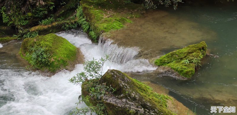 翠青与山流水：两者之美对比分析，助您更好地欣赏自然景观