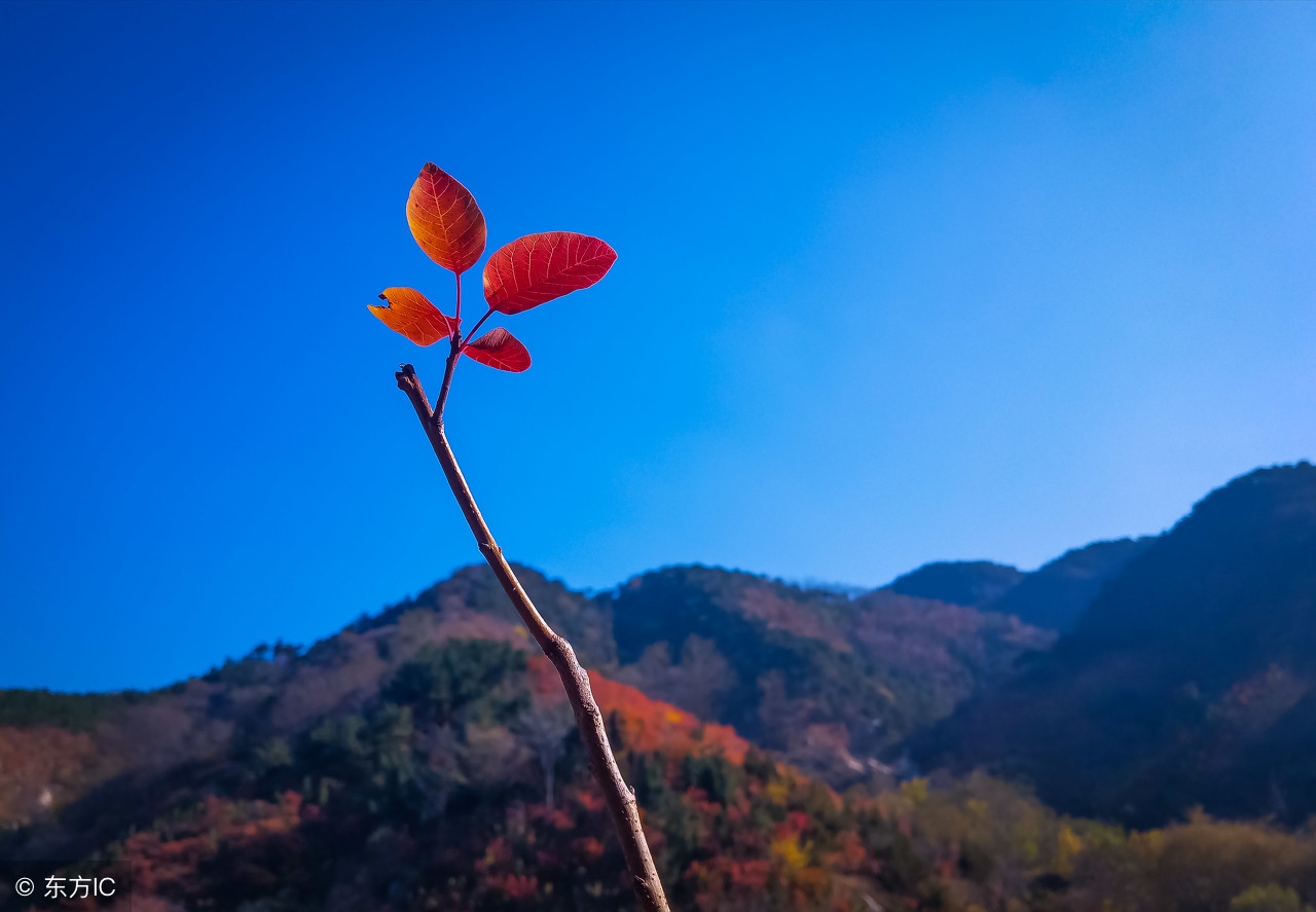 翠青与山流水：两者之美对比分析，助您更好地欣赏自然景观