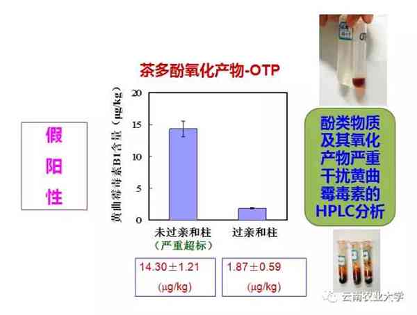 熟普洱茶中的黄曲霉素：安全性与去除方法