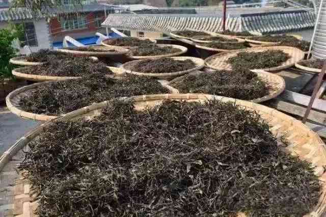 普洱茶：一种独特的发酵茶，与马粪茶无关