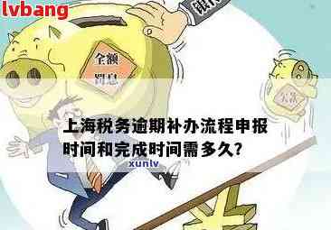 上海增值税申报逾期处理策略：如何应对一个多小时的误？