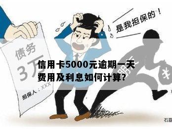 信用卡逾期5000元一个月的利息计算方式及相关影响