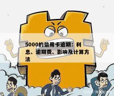 5000的信用卡逾期一个月逾期费计算方式和利息：一天、一月、立案全解析