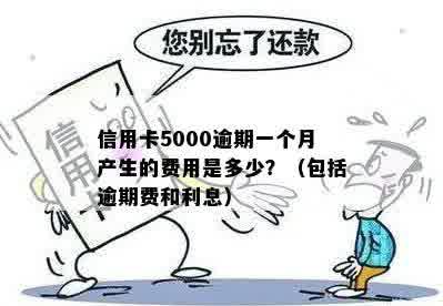 5000的信用卡逾期一个月逾期费计算方式和利息：一天、一月、立案全解析