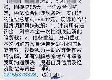 新中原消费逾期一天还款是否可行？如何处理逾期还款问题及影响？