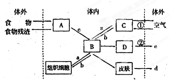 金丝玉带时间长了会怎么样：久带之效分析