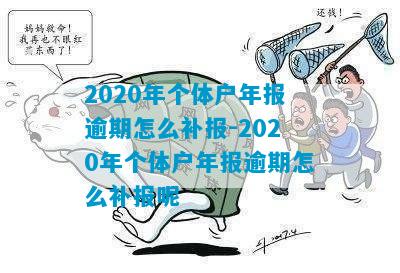 2020年个体户年报逾期补报：流程、费用及罚款情况