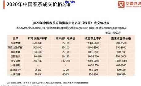 碧丽源茶叶价格简介与市场行情分析