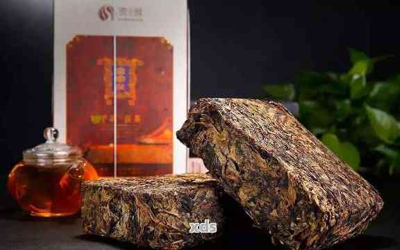 茯砖茶和熟普洱茶哪个更好？全面对比分析及选择建议