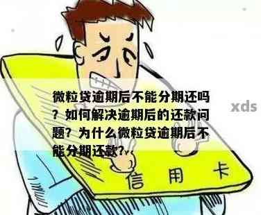 微粒贷17号还款18号算逾期吗？为什么不能借？