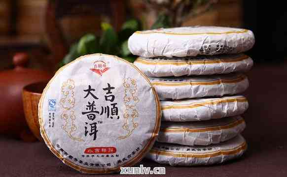 大益普洱茶：大饼与小饼的特色及品尝技巧，一文解析两种形态的差异