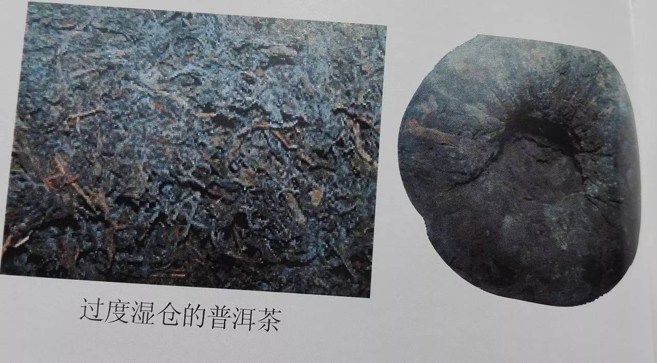 普洱茶仓条件对品质及陈化的影响：度、湿度与发酵关系的探讨