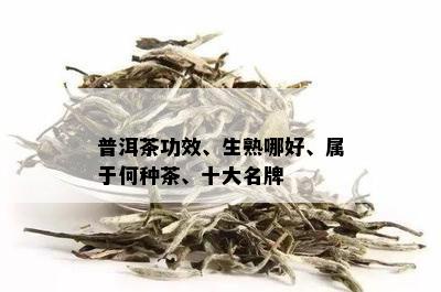 普洱茶十大功效是什么意思呀？热搜榜揭示普洱茶的功效全解析