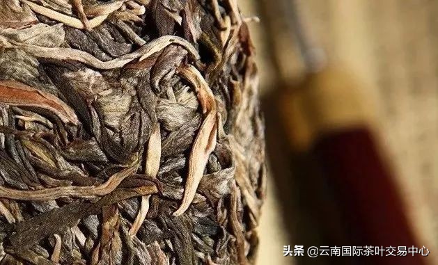 普洱茶的十大神奇效用：助消化、降脂减肥、抗氧化一应俱全！