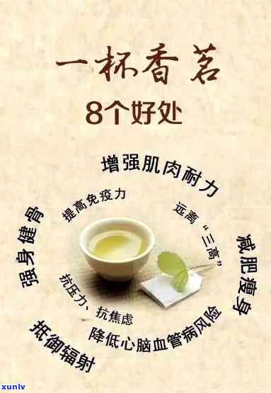 新普洱茶的多重功效揭示：健、消化、免疫全方位解析