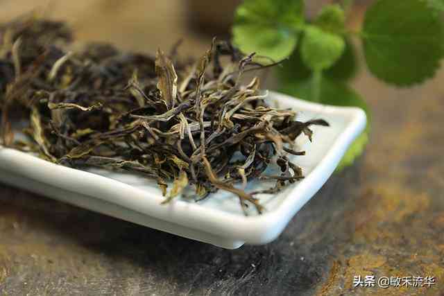 普洱茶区三大茶山：哪三座山？它们的特点和产地是什么？