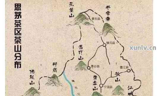 普洱茶三大茶区名山全解析：探索产地、品质与文化魅力