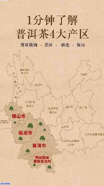 普洱茶三大茶区名山全解析：探索产地、品质与文化魅力