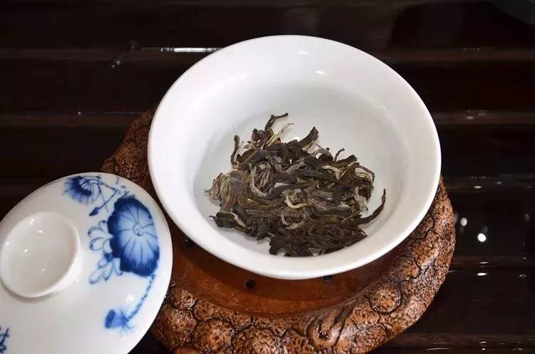 随便泡普洱茶可以吗？好不好？如果泡普洱茶？