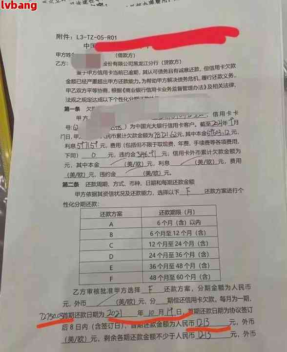 关于信用卡逾期问题的文件