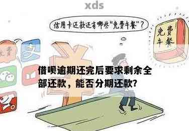 关于借呗：是否可以分阶偿还，而非一次性全清？