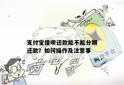 关于借呗还款方式：能否分次还清？安全吗？