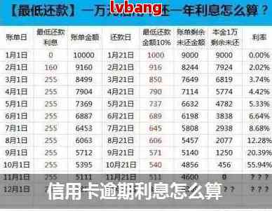 15年后逾期的1000元信用卡债务，你可能需要支付多少利息和费用？