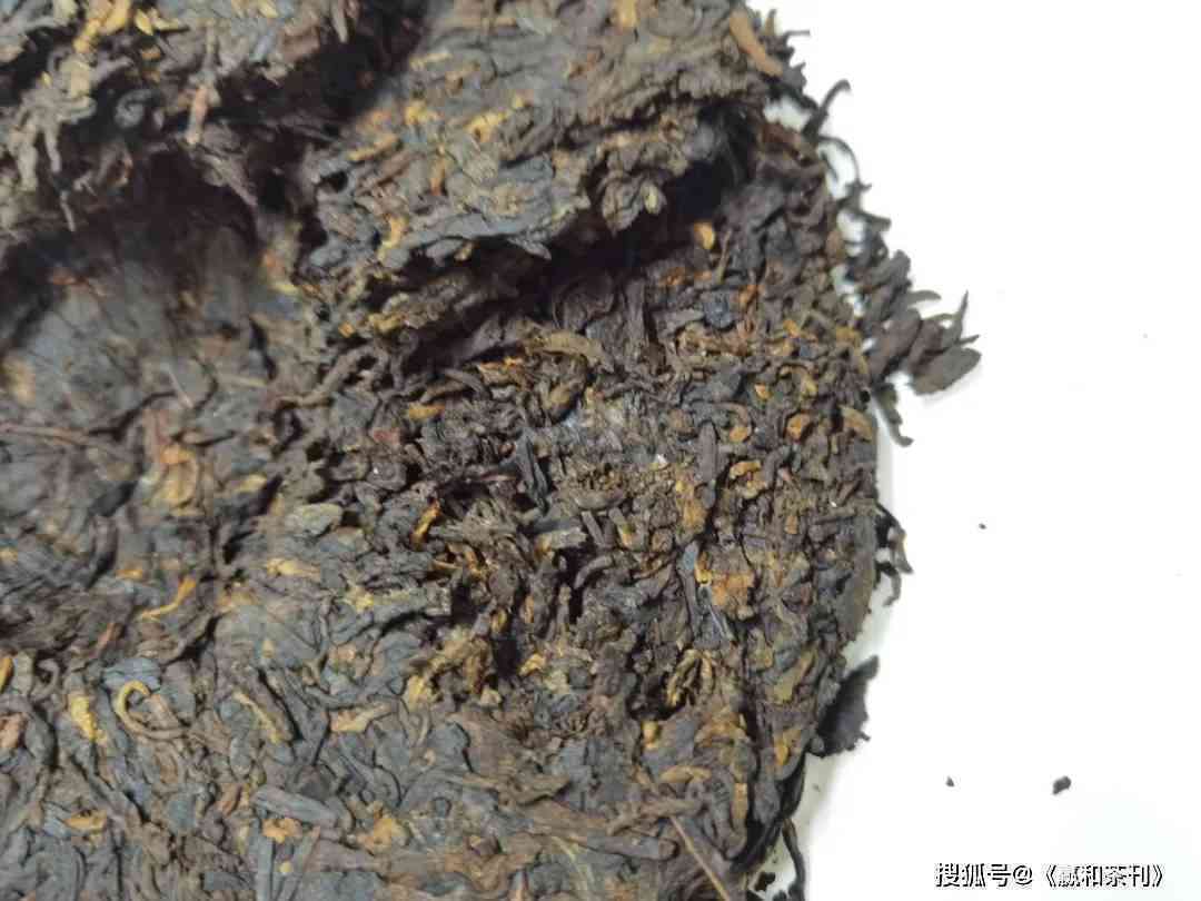 普洱茶的霉味和陈香一样吗？为什么？能喝吗？怎么区分？