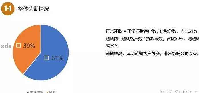 如何计算逾期天数：一个全面解决用户搜索相关问题的指南