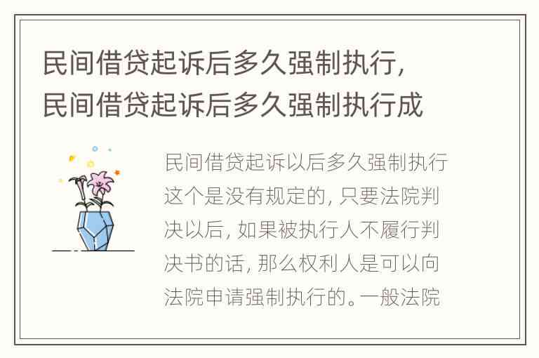 解决民间借贷纠纷：强制执行和解协议的全面解析与操作指南