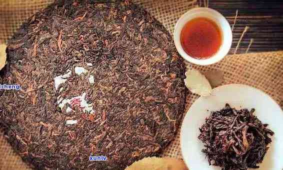 普洱茶的特点、功效与品鉴方法：全面了解庆普洱茶的独特魅力