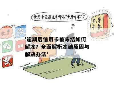 信用卡逾期后的有效解冻策略：详细步骤与建议