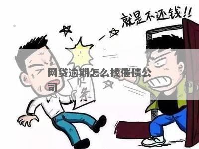 还不起网贷公司故意让你逾期怎么办