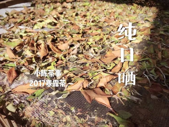 普洱茶陈化时间对品质的影响：多少年的普洱茶转化效果？