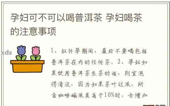 孕妇饮八宝粥普洱茶：适宜与注意事项详解