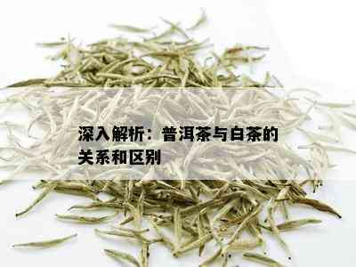 小湾茶：究竟是普洱茶还是白茶？解析两种茶的不同与特色