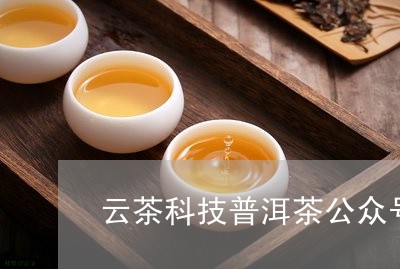 西双版纳云茶科技的普洱茶