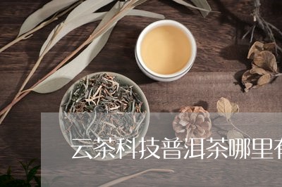 西双版纳云茶科技的普洱茶