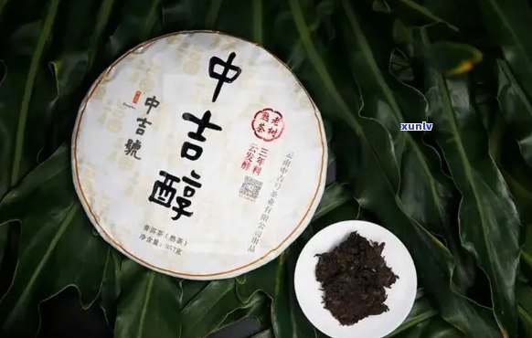 中吉号大叶种普洱茶：品质与口感如何？