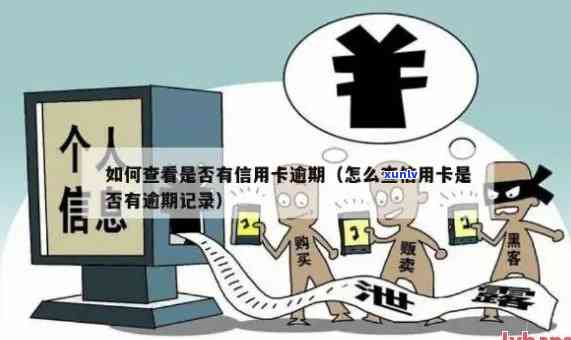 如何查询信用卡不良记录，了解信用状况的步骤与方法