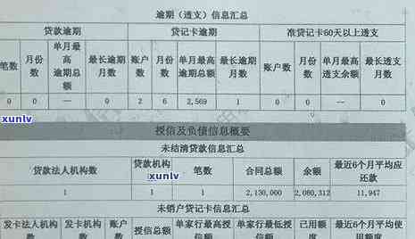 如何查询信用卡不良记录，了解信用状况的步骤与方法